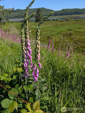 752 Parpala, Naselle, WA 98638