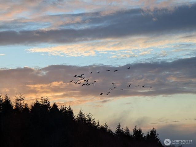 752 Parpala, Naselle, WA 98638