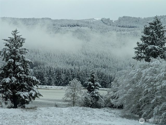 752 Parpala, Naselle, WA 98638