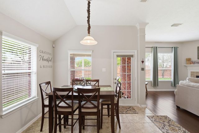 2821 Chinaberry Park Lane, League City, TX 77573