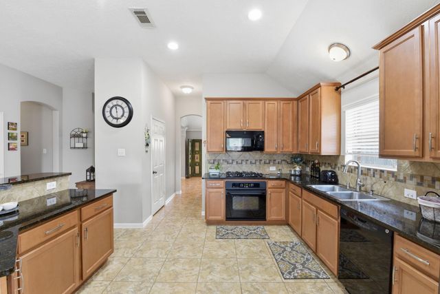 2821 Chinaberry Park Lane, League City, TX 77573