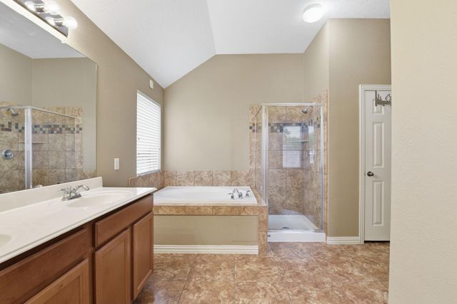 2821 Chinaberry Park Lane, League City, TX 77573