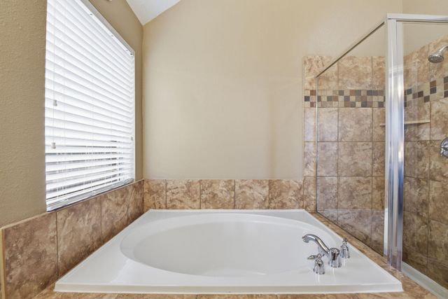 2821 Chinaberry Park Lane, League City, TX 77573