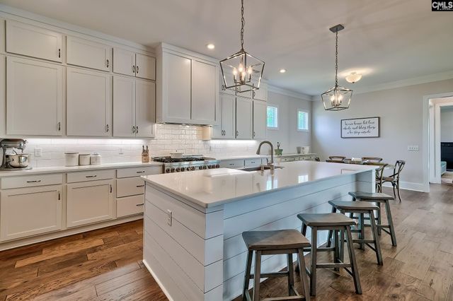 1230 Rapids Park Way, Lexington, SC 29072