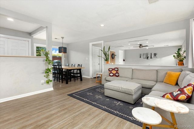565 Park Lane, Buena Vista, CO 81211