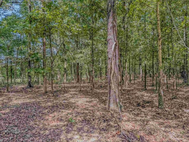 2100 Greene 514 Road, Paragould, AR 72450