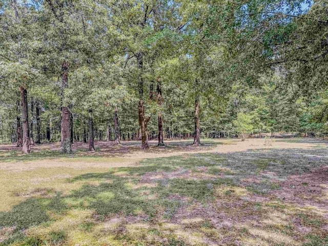 2100 Greene 514 Road, Paragould, AR 72450