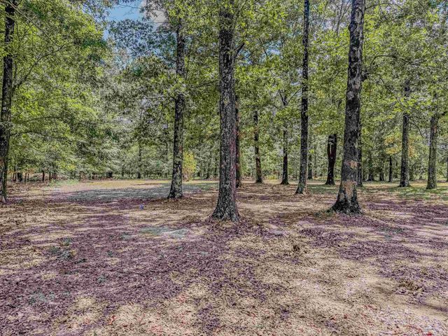 2100 Greene 514 Road, Paragould, AR 72450