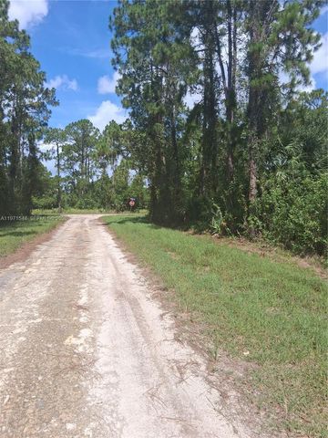 913 Abbey St E, Lehigh Acres, FL 33974