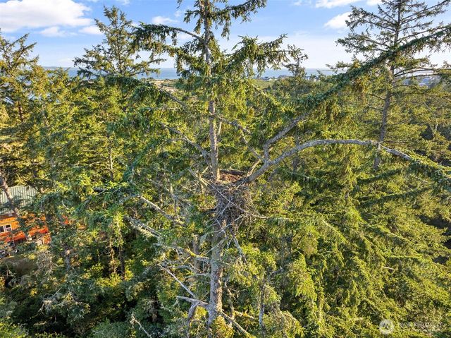 1019 Catala Avenue SE, Ocean Shores, WA 98569