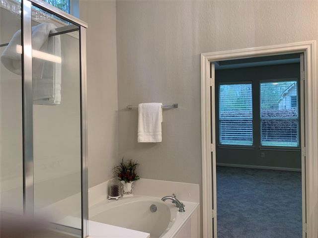 46 Patina Pines Court, The Woodlands, TX 77381