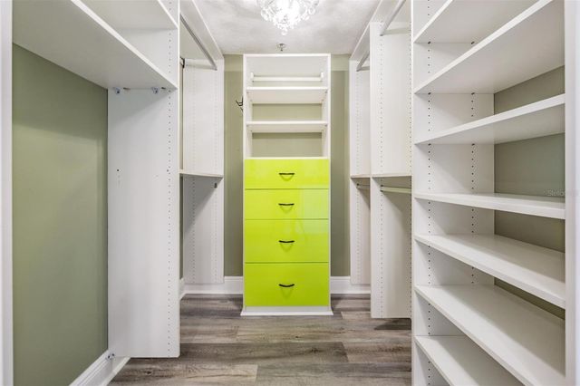 2413 BAYSHORE BOULEVARD 1004, Tampa, FL 33629