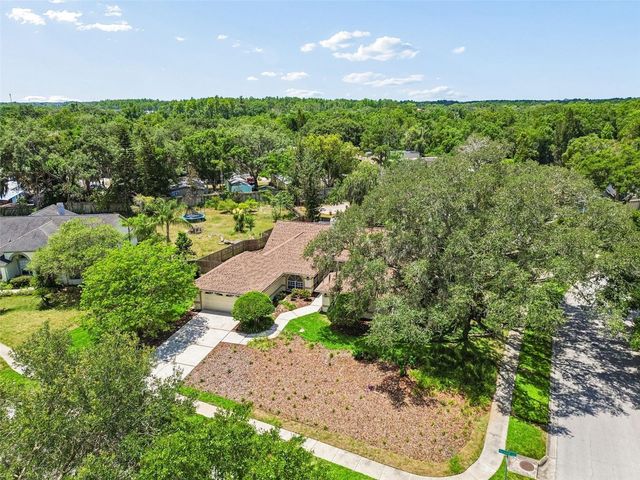 18106 FAIRMEAD COURT, Lutz, FL 33548
