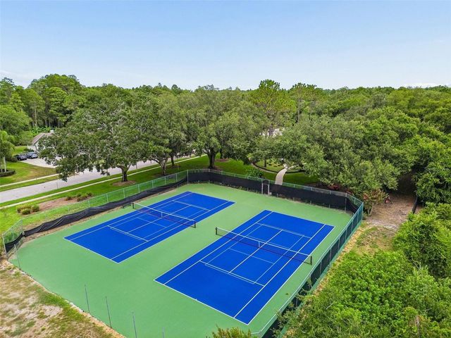 18106 FAIRMEAD COURT, Lutz, FL 33548