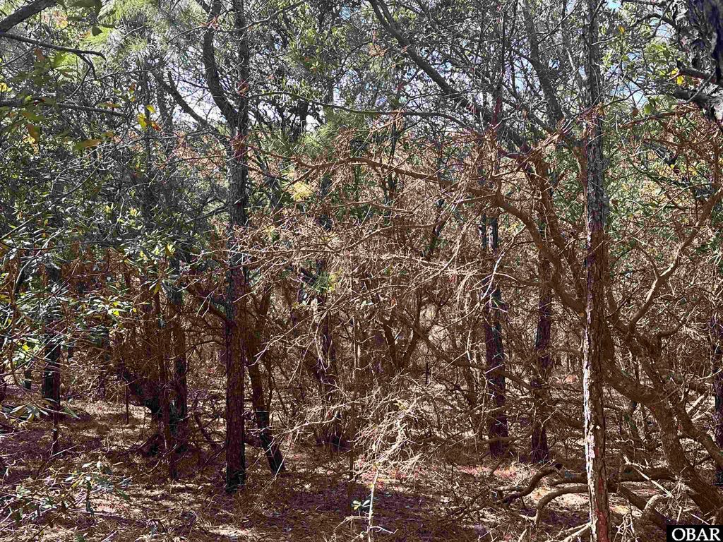 Image 12 of property listing at 2314 Sandpiper Road Lot 6, Corolla, NC 27927