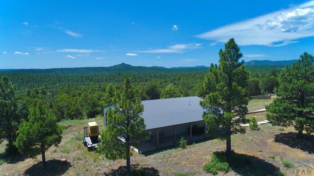 22010 Steffi Dr, Aguilar, CO 81020