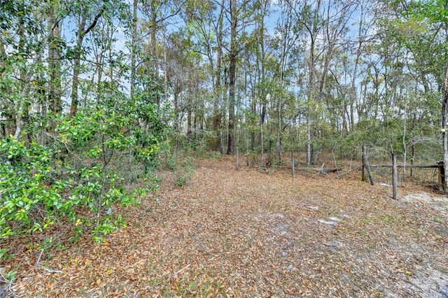 14395 NE 50TH PLACE, Williston, FL 32696