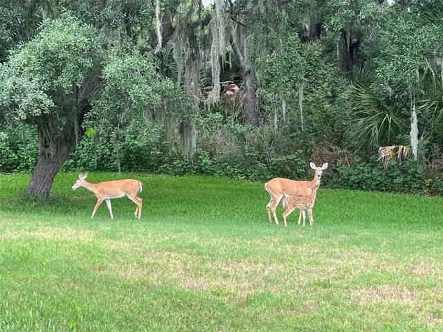 825 HIMALAYAN RUN, Bradenton, FL 34212