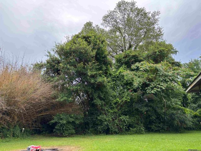 13587 Burgess Ave, Walker, LA 70785