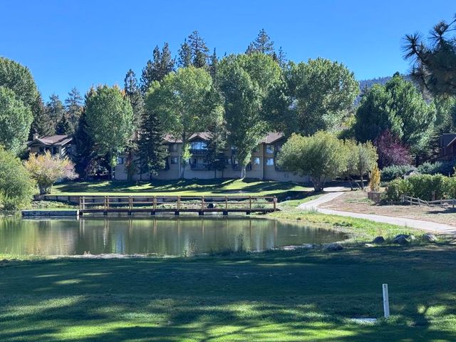 43063 Goldmine Woods Lane, Big Bear, CA 92315