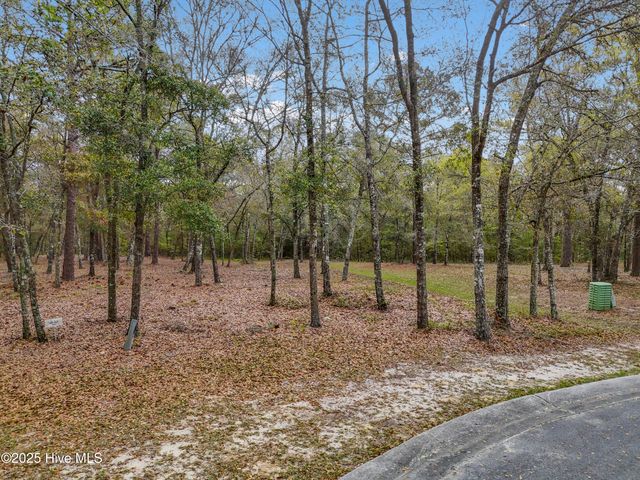 584 Asphodel Drive SW, Supply, NC 28462