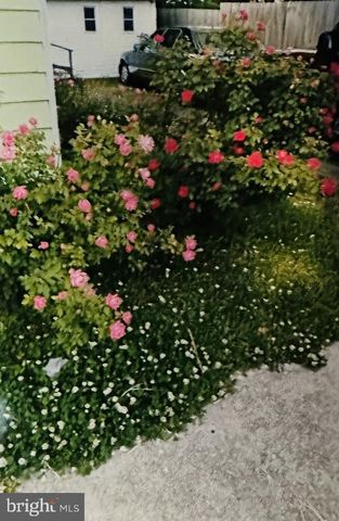 728 WOOLFORD ST, Seaford, DE 19973