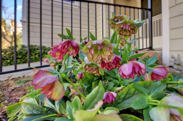 225 Mallard Dr, Grass Valley, CA 95945