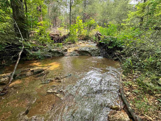 447 Griffin Rd, Hardy, AR 72542