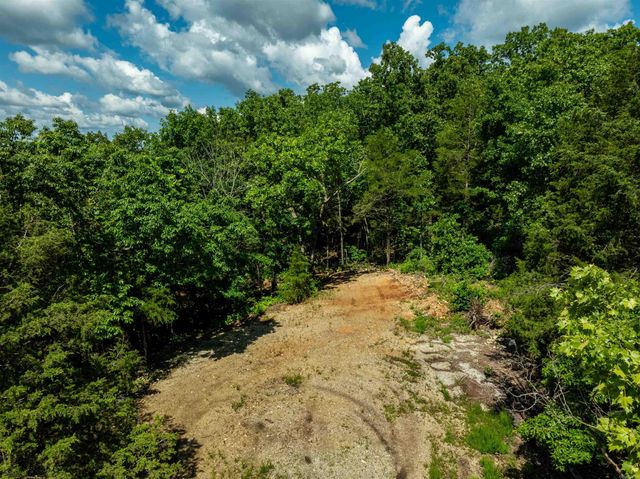 447 Griffin Rd, Hardy, AR 72542