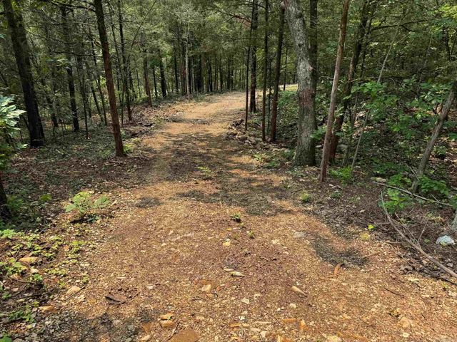 447 Griffin Rd, Hardy, AR 72542