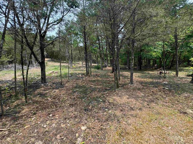 447 Griffin Rd, Hardy, AR 72542