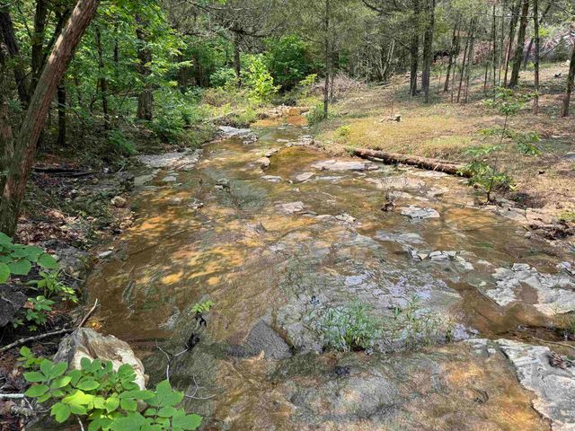 447 Griffin Rd, Hardy, AR 72542