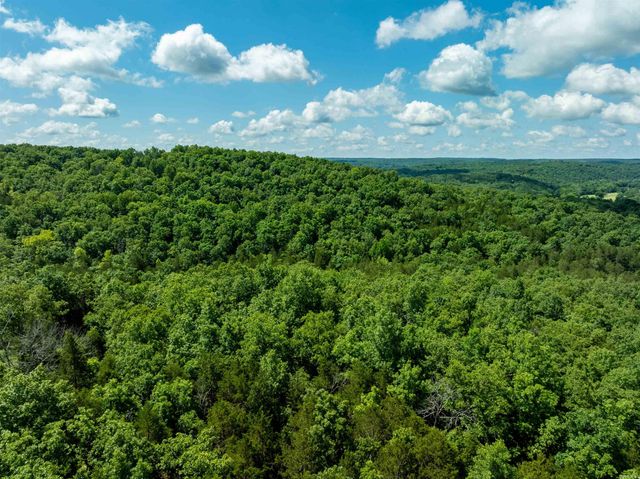 447 Griffin Rd, Hardy, AR 72542