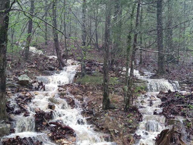 447 Griffin Rd, Hardy, AR 72542