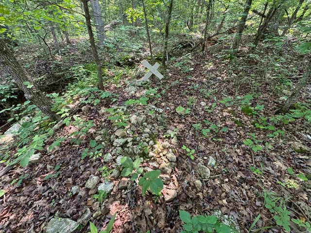 447 Griffin Rd, Hardy, AR 72542