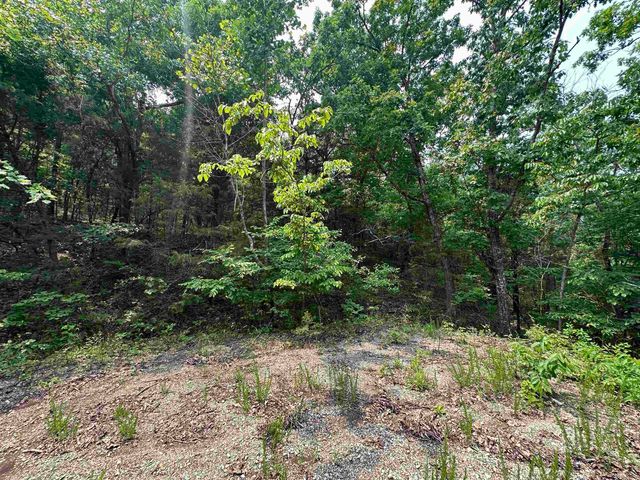 447 Griffin Rd, Hardy, AR 72542