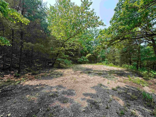 447 Griffin Rd, Hardy, AR 72542