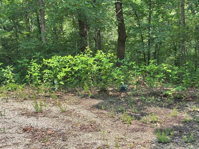 447 Griffin Rd, Hardy, AR 72542