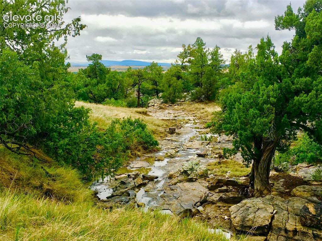 TBD Pickney Road, Rye, CO 81069 — exterior