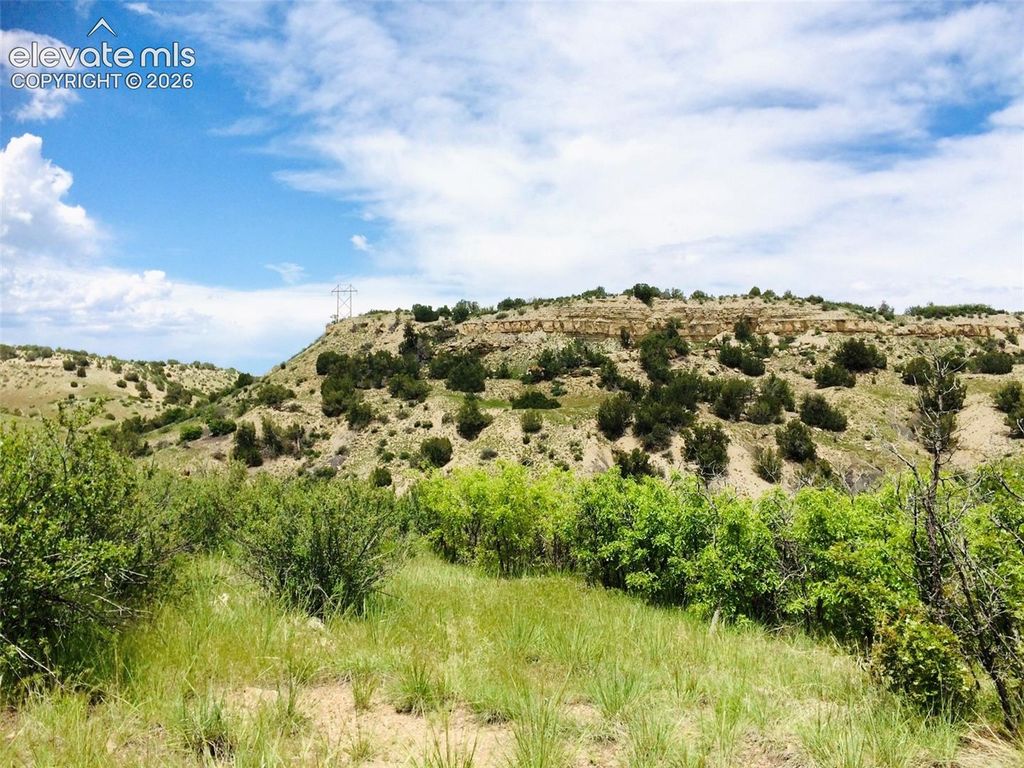 TBD Pickney Road, Rye, CO 81069 — photo 2