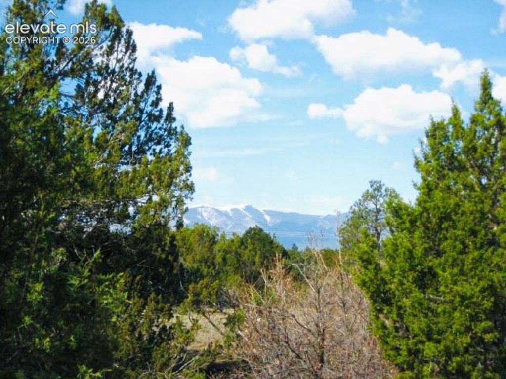 TBD Pickney Road, Rye, CO 81069 — photo 4