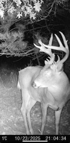 TBD Variolite St NW, Princeton, MN 55371