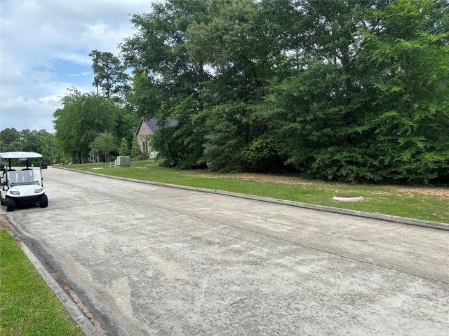 313 Pine Brook Drive, Montgomery, TX 77356