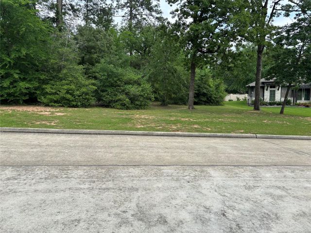 313 Pine Brook Drive, Montgomery, TX 77356