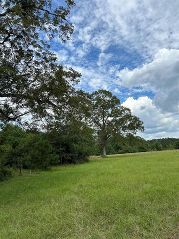 00 E West Street, Livingston, TX 77351
