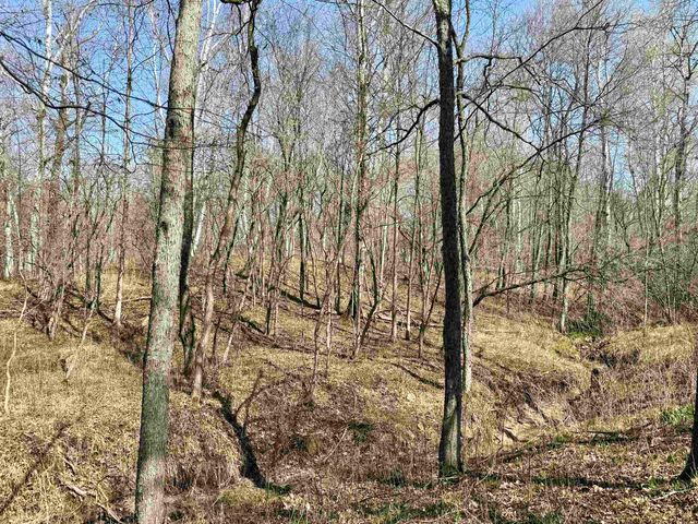 751 Hunters Ridge, Marion Twp, MI 49665