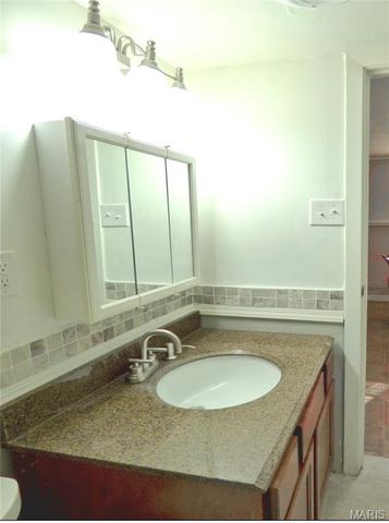 9601 Lifford Court, St Louis, MO 63136