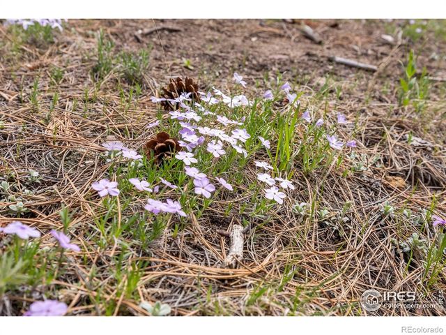 3561 Sunshine Canyon Drive, Boulder, CO 80302