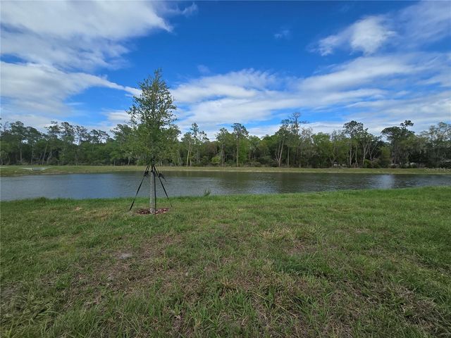 8411 MADRID STREET, Lakeland, FL 33810