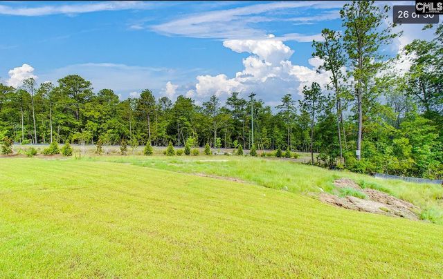 217 Flatsedge Court, Lexington, SC 29072